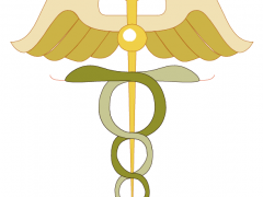 logo-4