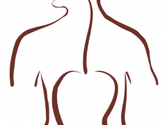logo-5