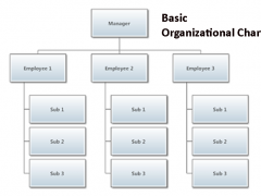 organizational-1