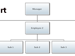 organizational-2