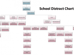 organizational-3